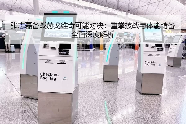 张志磊备战赫戈维奇可能对决：重拳技战与体能储备全面深度解析